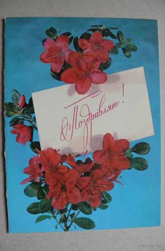 Поздравляю! 1980, 1981; двойная, чистая (из сувенирного комплекта).
