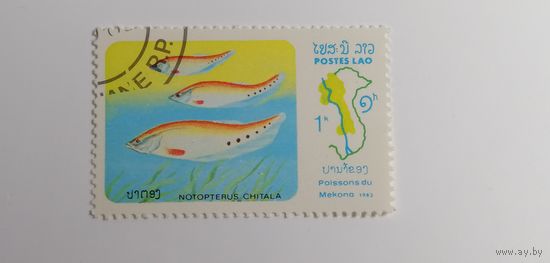 Лаос 1983. Рыба реки Меконг