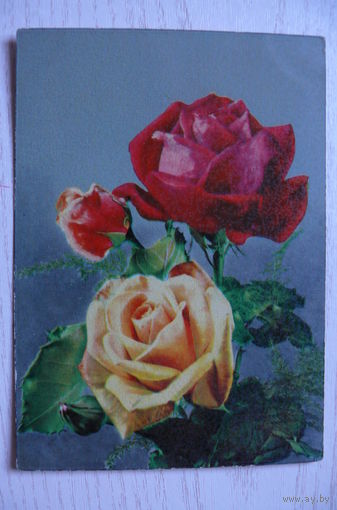 Цветы; 1961, подписана.