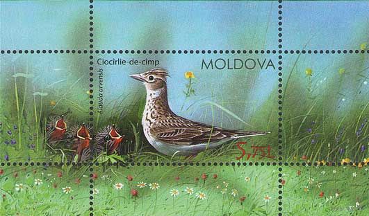 Молдова 2015. Фауна. Птицы блок (561)