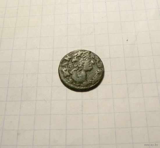 Боратинка 1666
