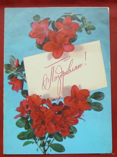 Поздравляю! Подписанная. Двойная. 1980 года. 1037.