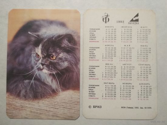 Карманный календарик. Котик.1993 год