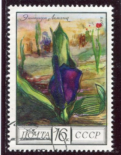СССР 1975.. Флора. Эминиум Лемана