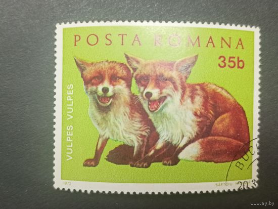 Румыния 1972. Молодые животные