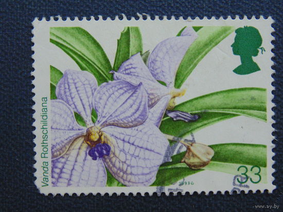 Великобритания 1993 г. Цветы.