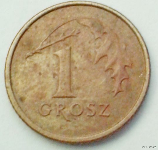 1 грош 2007 польша