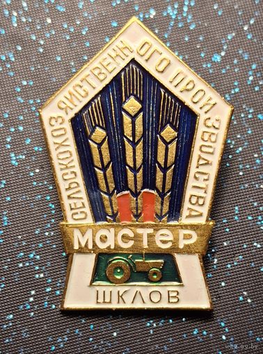 Знак Мастер сельскохозяйственного производства. Шклов. БССР распродажа коллекции