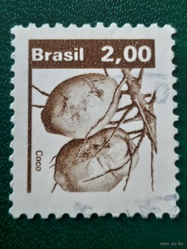 Бразилия. Флора. Какао