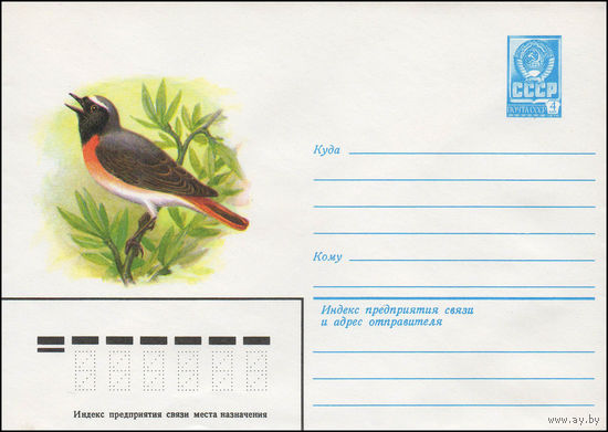 Художественный маркированный конверт СССР N 13923 (21.11.1979) Горихвостка