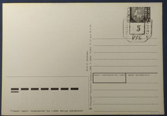 Беларусь 1991 открытка, провизор, З новым годом.