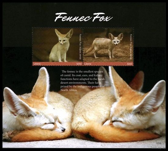 2017 Либерия 7146-7147/B758 Фауна - Фенек 15,00 евро