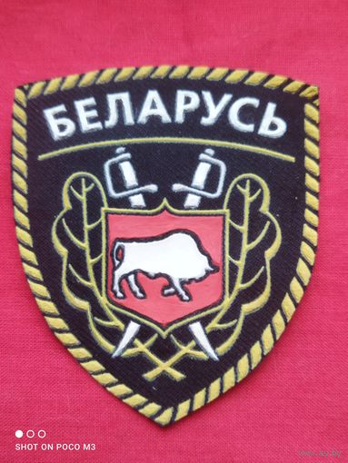 Шеврон РБ,Отличный для пополнения коллекции