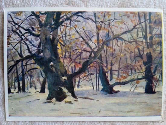 1957. Шовкуненко. Зима. Конча-Заспа