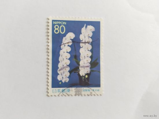 Япония  1999