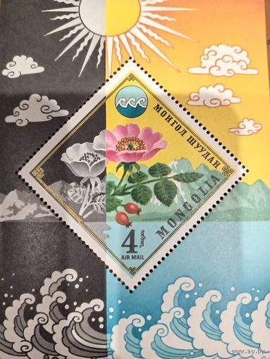 Монголия. Флора. Шиповник. Блок