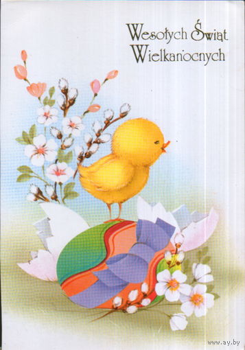 Подписанная открытка Польша 1995г. "Пасха. Цыпленок"