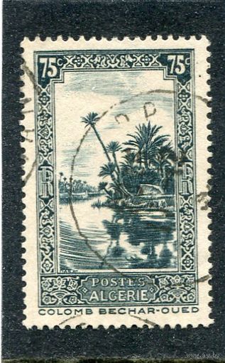 Французский Алжир. Ландшафт. Пальмовая роща Узд Бешар. 75с