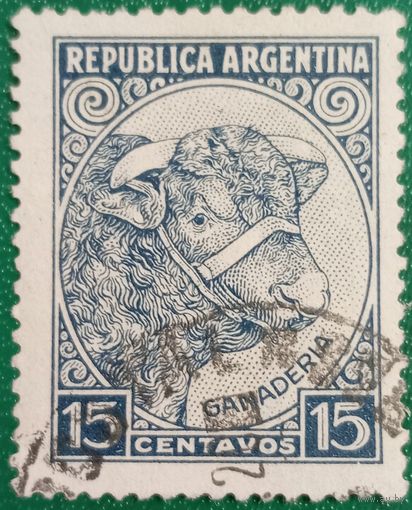 Аргентина 1935. Животноводство. Бык