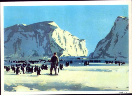 1976 год В.Викторов Будущий соперник сборной России по футболу