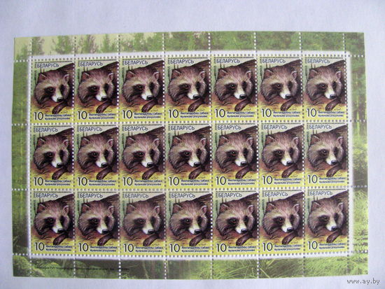 Беларусь 2008 Енотовидная собака 115-2008
