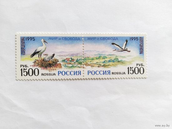 Россия  1995 2 м сц..
