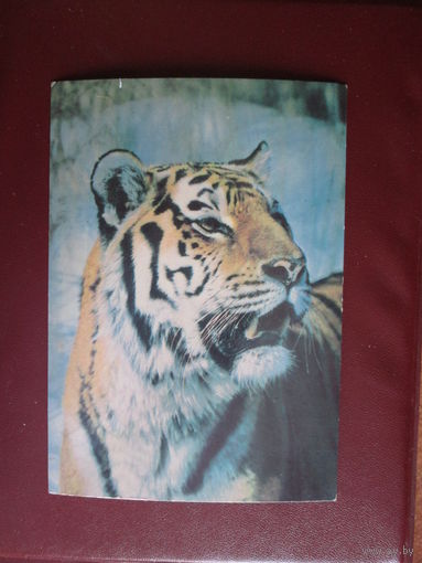 Почтовая карточка.СССР.1985г.
