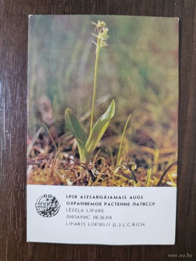 Календарик Прибалтика Липарис