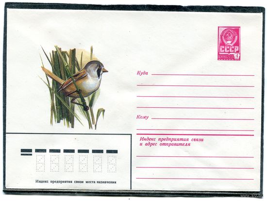СССР 1981. ХМК. Конверт. Усатая синица