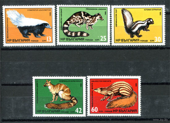 Болгария - 1985г. - Экзотические хищные животные - 5 марок - полная серия, MNH [Mi 3333-3337]. #O-Se-Z-1-3