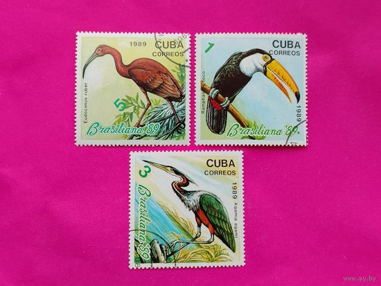 Куба. Птицы. ( 3 марки ) 1989 года. 7-9.