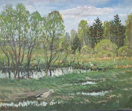 Буслы прыляцели