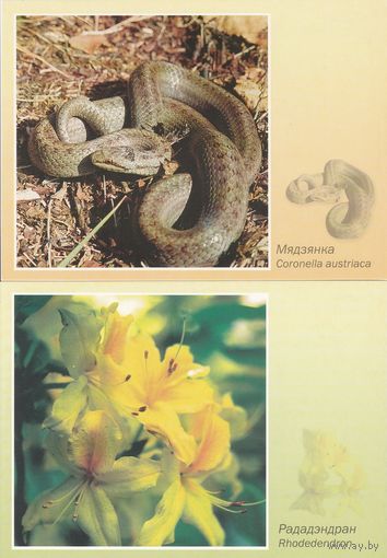 Беларусь 2000 Сохранение биоразнообразия Беларуси (8 шт. комплект) (к5)