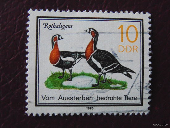 Германия 1985 г. Птицы.