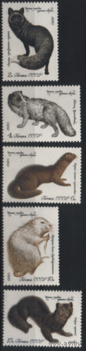 Заг. 5018/22. 1980. Ценные породы пушных зверей. Чист.