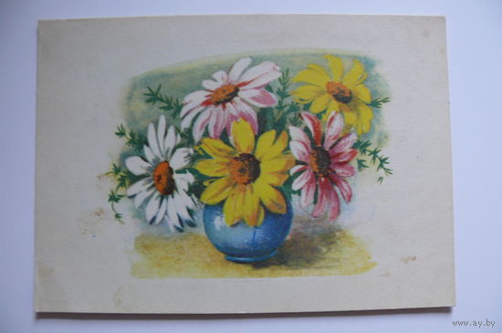 Цветы, подписана; ~1958 (Польша).