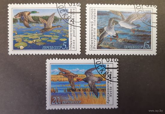 СССР. 1990 год. Фауна. Птицы. Утки (3 марки)