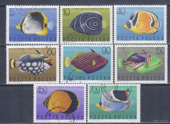 [2296] Польша 1967. Фауна.Тропические рыбы. Гашеные марки.