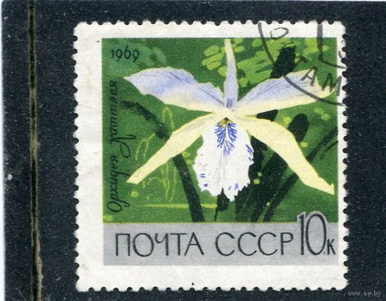 СССР 1969.. Ботанический сад. Орхидеи