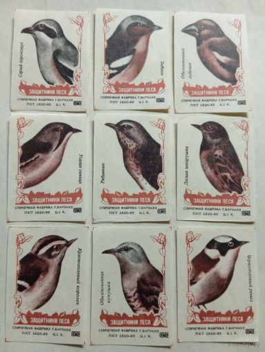 Спичечные этикетки ф.Барнаул. Защитники леса. 1988 год