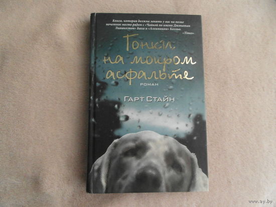 Стайн Гарт. Гонки на мокром асфальте. Москва. 2010 г.