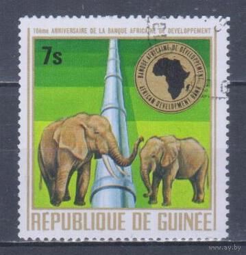 [2125] Гвинея 1975. Фауна.Африканский слон. Гашеная марка.