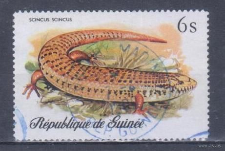 [994] Гвинея 1977. Фауна.Ящерица. Гашеная марка.