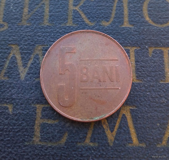 5 бани (бань) 2009 Румыния #01