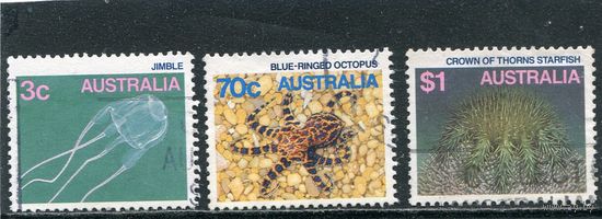 Австралия. Морская фауна