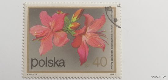 Польша 1972.  Цветы