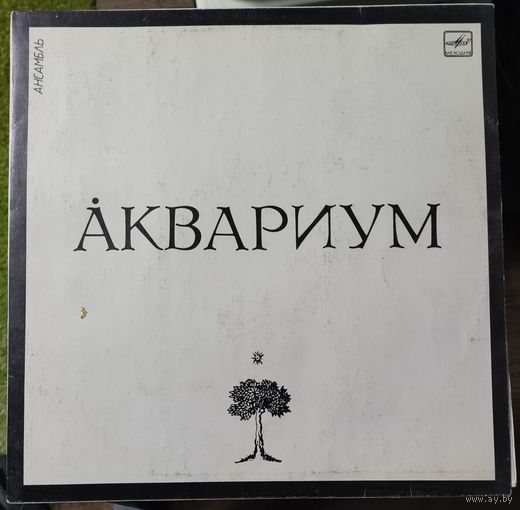 Аквариум	"Аквариум"