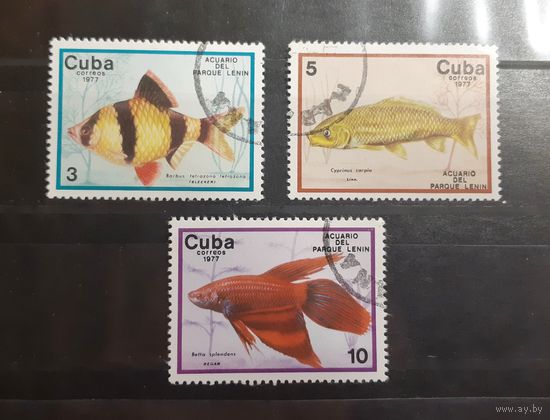 Куба. 1977 год. Фауна. Рыбы (26)