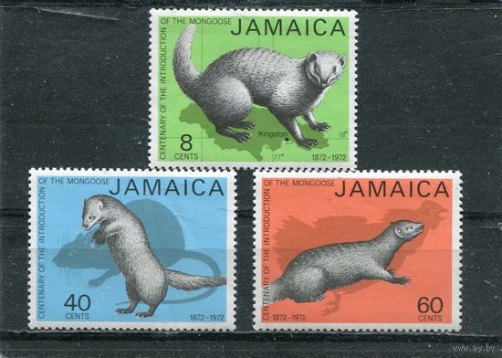 Ямайка. Фауна