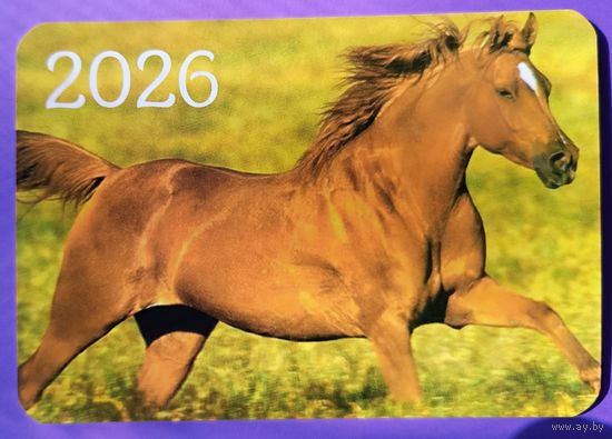 Лошадь. Календарик, глянец, 2026. Траско
